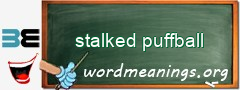 WordMeaning blackboard for stalked puffball